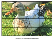 Puzzle-Ente-Lilly-4.pdf